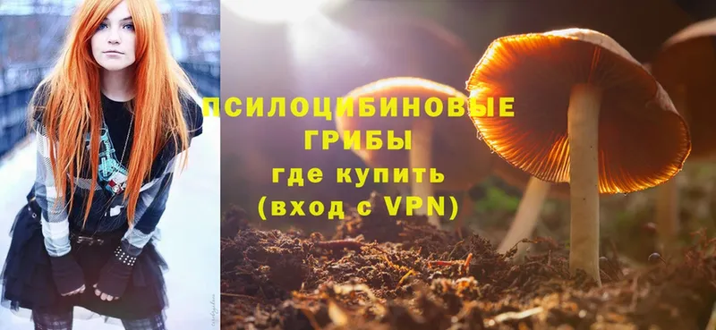 купить закладку  Заводоуковск  Галлюциногенные грибы MAGIC MUSHROOMS 